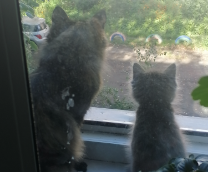 ���� ����� ������ ���������� � ���� ��� �� �������