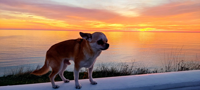 �� ��!? ������ �������! ������� ������! ����� ��� ��� "��� �������"?! ������� ��!