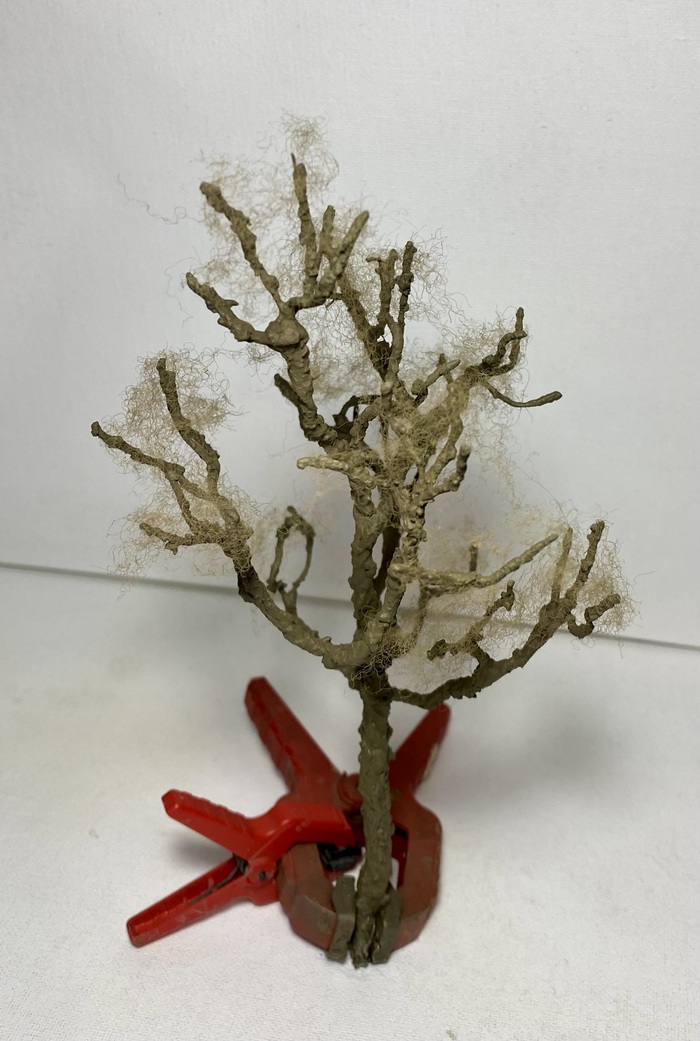 ����� �������� ���������