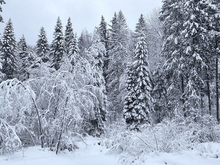 ��� � ������� �� ����� ���������� ������ � ���� �������, ������� �� ����� ������, � ������ ������ �������� 1,5 �����