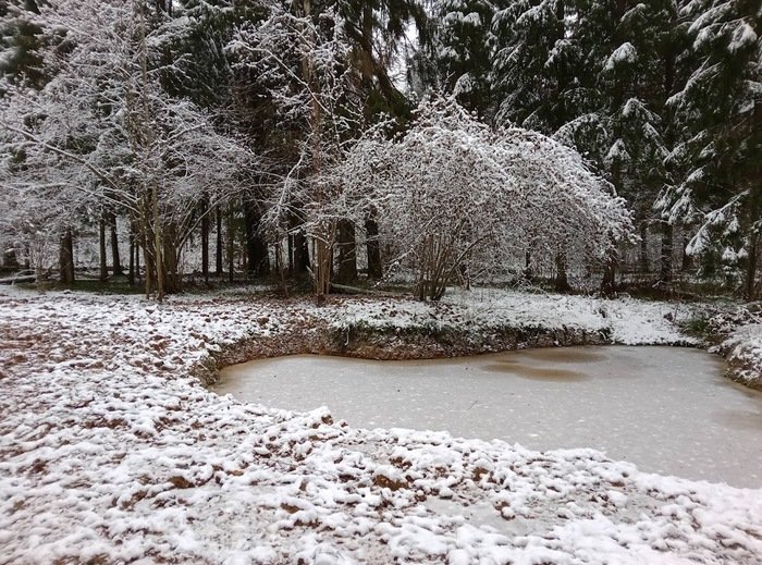 ��� ������ ����, ������ ��� �������. ������� � ���� ��������