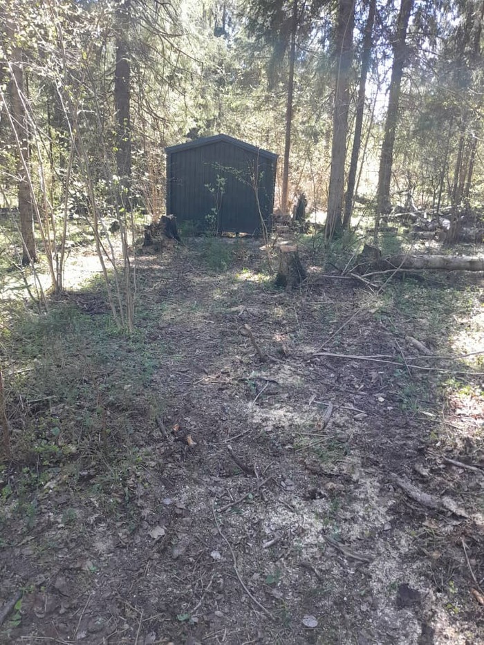 �������� � ����