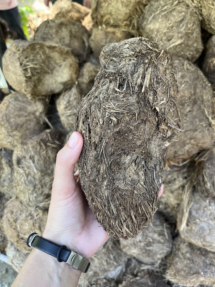 ����� ����� ��������. ������ �� ���������� �����:)