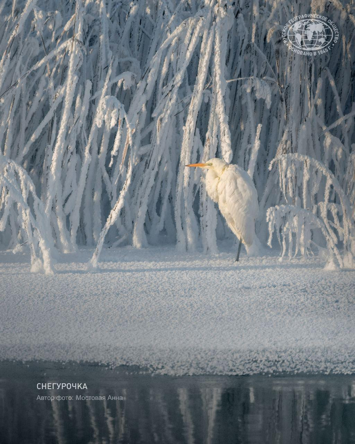 ����: �������� ����, �������� ������������ ������ �������� ������, <a href="https://pikabu.ru/story/snegurochka_13602553?u=https%3A%2F%2Ft.me%2Frgo1845%2F18003&t=%D0%BE%D1%82%D1%81%D1%8E%D0%B4%D0%B0&h=3e8b65c91ebc8ebc88480801392bbc62ee21d9e8" title="https://t.me/rgo1845/18003" target="_blank" rel="nofollow noopener">������</a>