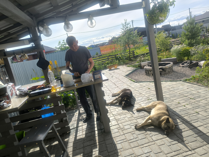 ����� �� ���� ����������