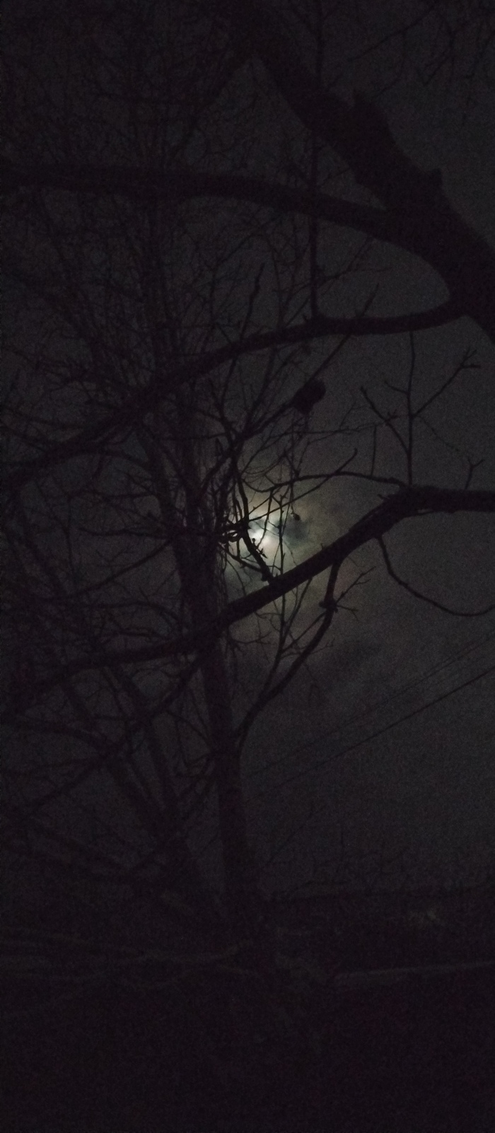 Случайно красивое