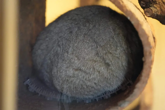 ����� �� ���� ������������ ���