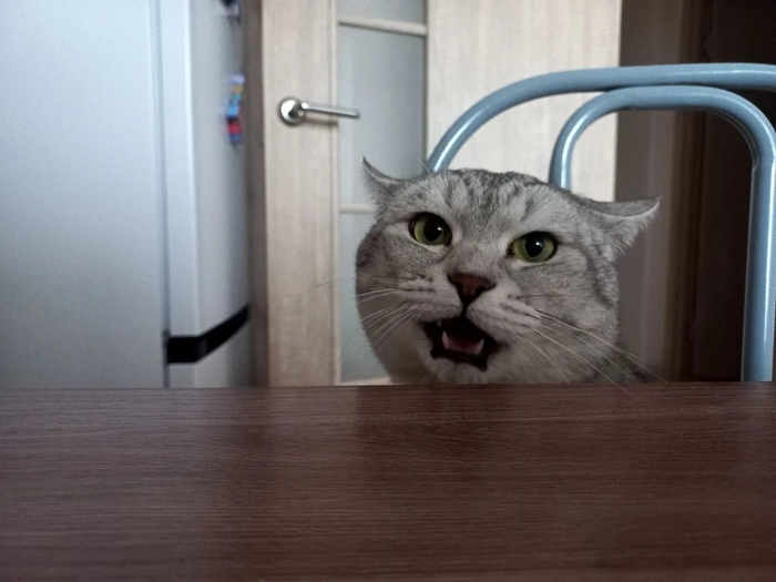 ������ � ���