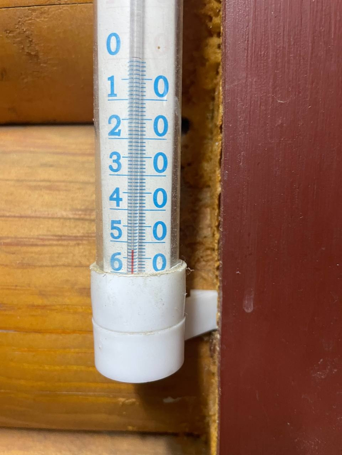 ����� ������ �� ����.