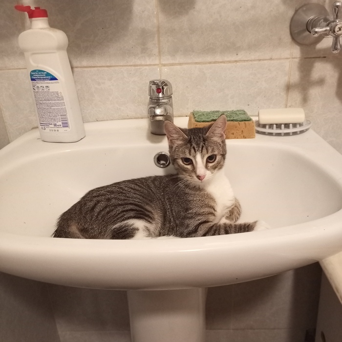 ����� �� ���� �� ��� ��� ������ ���� ����� ����)�