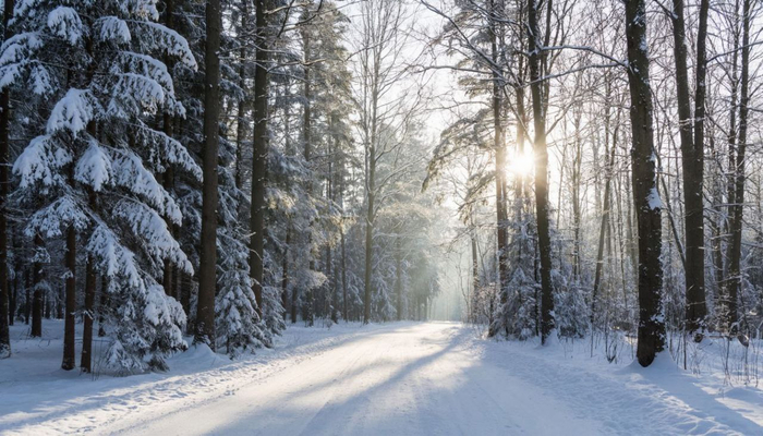 ����� ��������� 2026, ���� ������� ��������, ���������� ��������� � ������ �� ��������: ����� ������� ������� ������