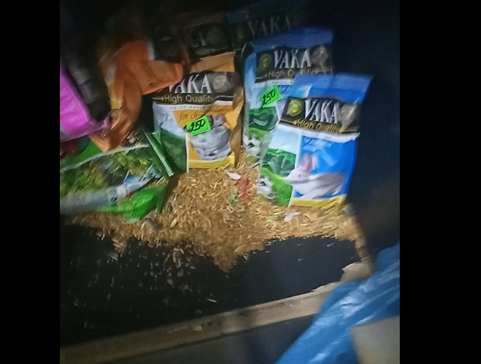 Очередной товар, который сожрали мыши. И так каждый день в течении трех месяцев.