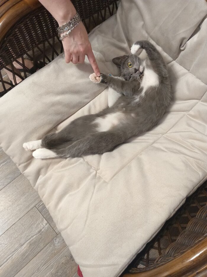 внезапный ренессанс