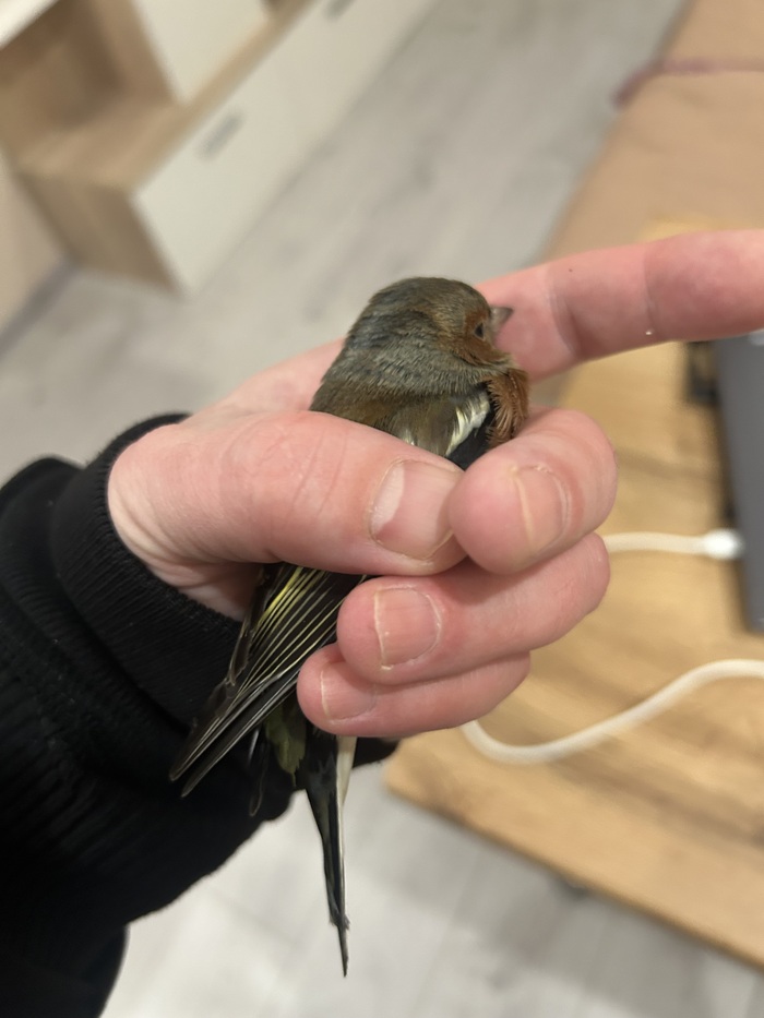 �� �������� ���������� �������� ������������ ����� ��������)