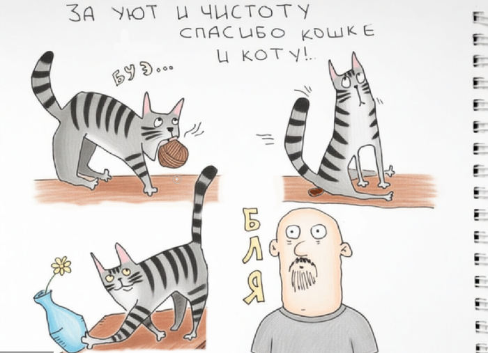 �������, ����������