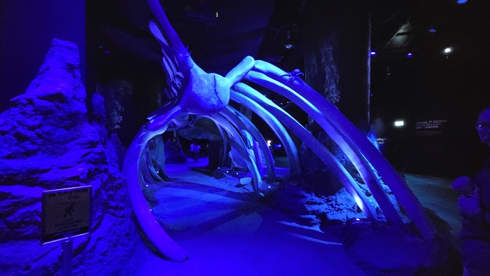 � ����� �� ����� ����� ���-�� ����� �������� �������, ������ �������� � ������ ����� ������