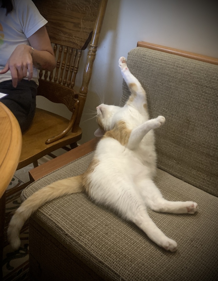 �������� ����� 