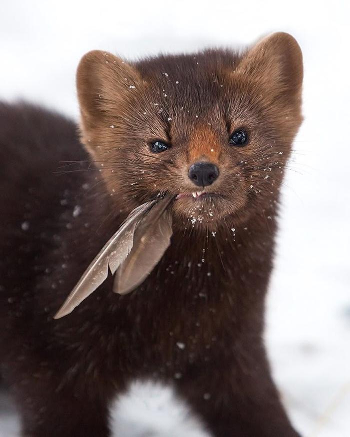 �� ��������� �����!