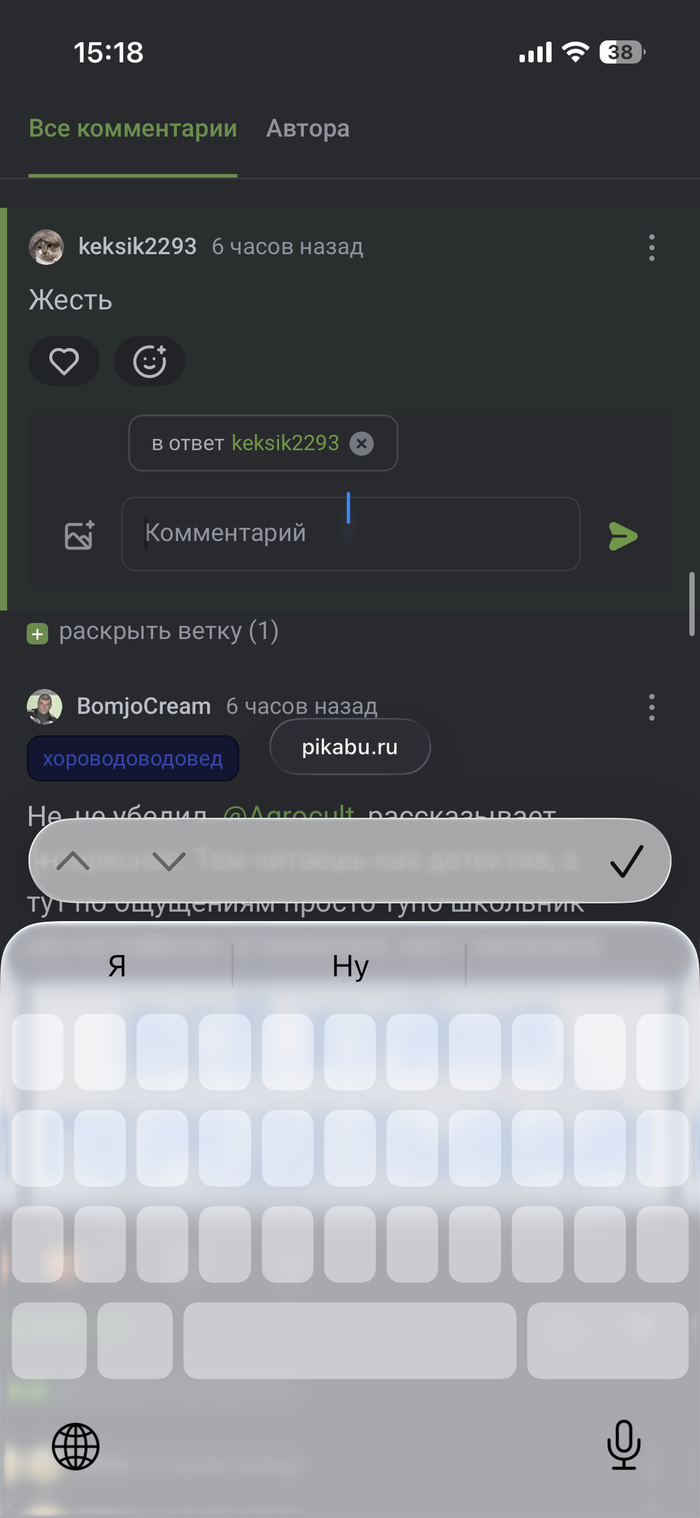 Поле для ввода