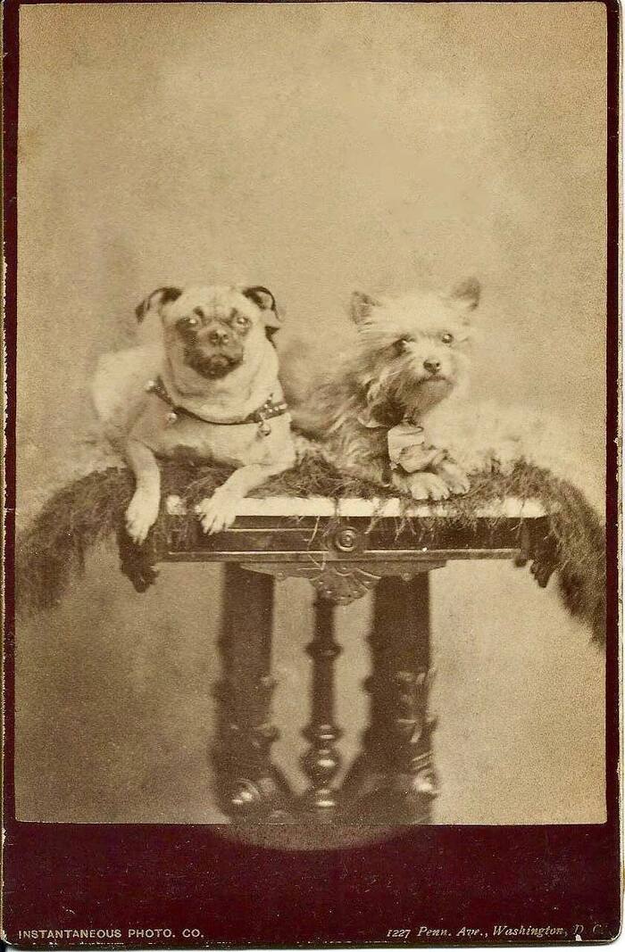 ������� ��������� ��� ������������ ������Ȼ