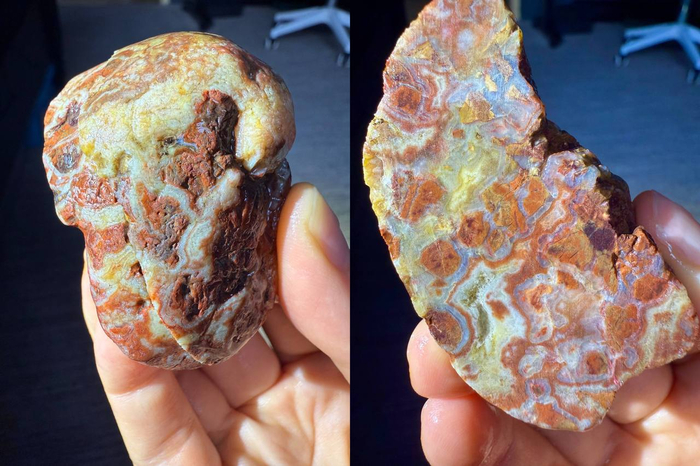 ������� ������.