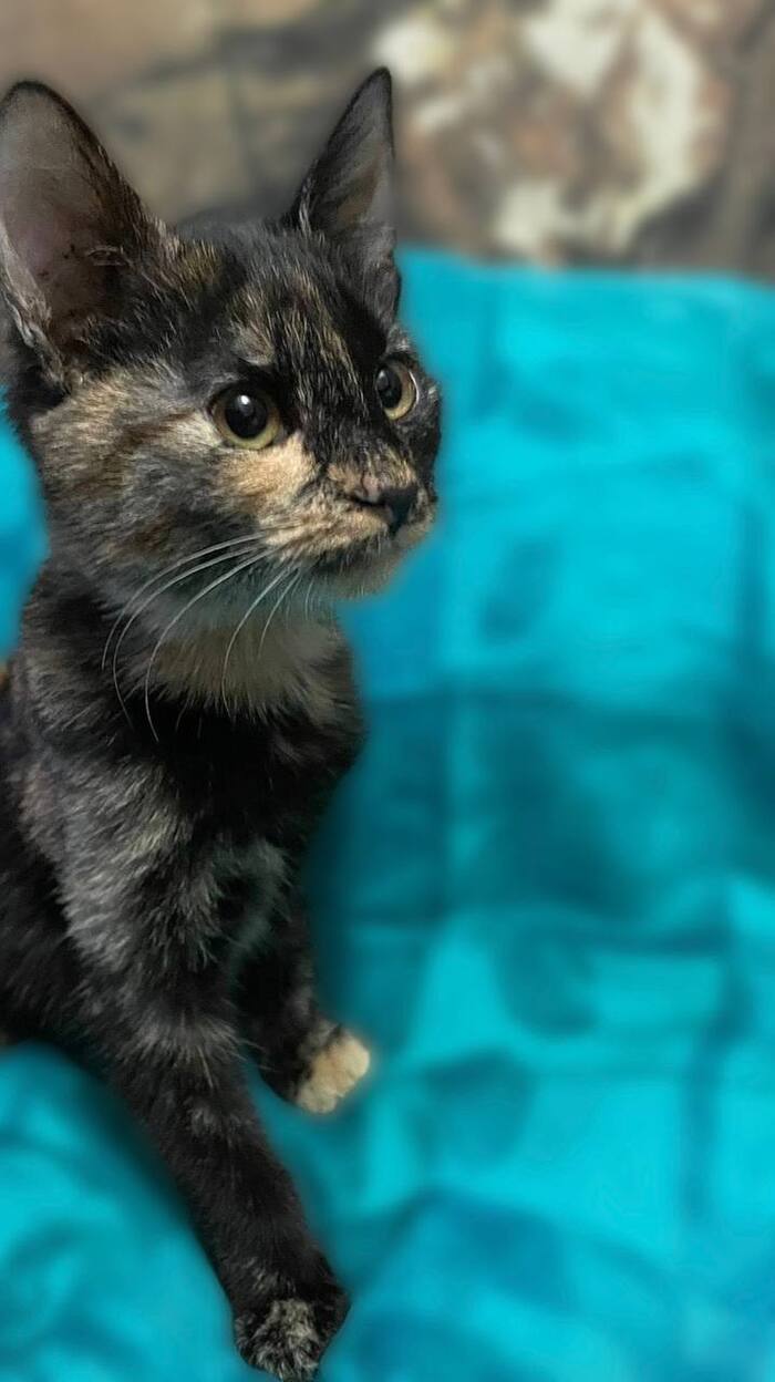 ����� �������� ������ ������� ���� ���!