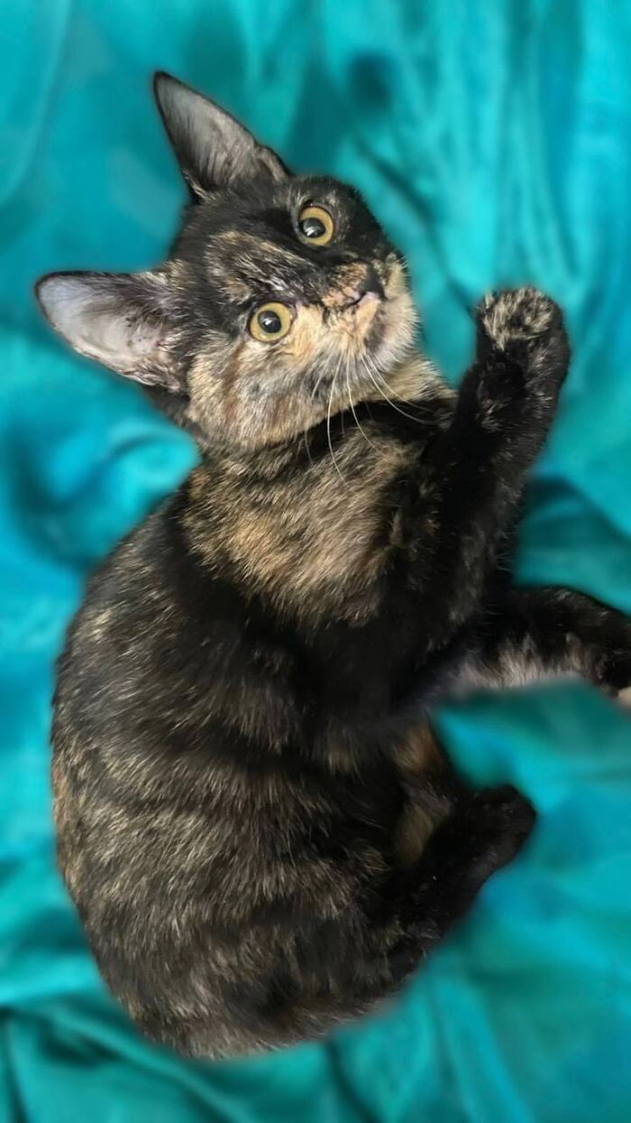 ����� �������� ������ ������� ���� ���!