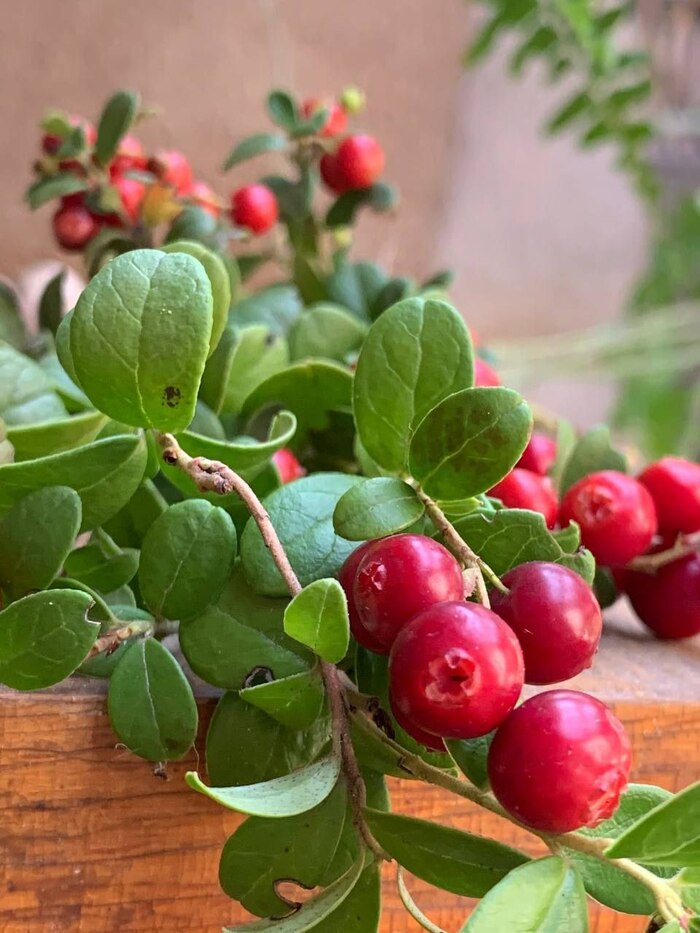 166 ���� ������� #120