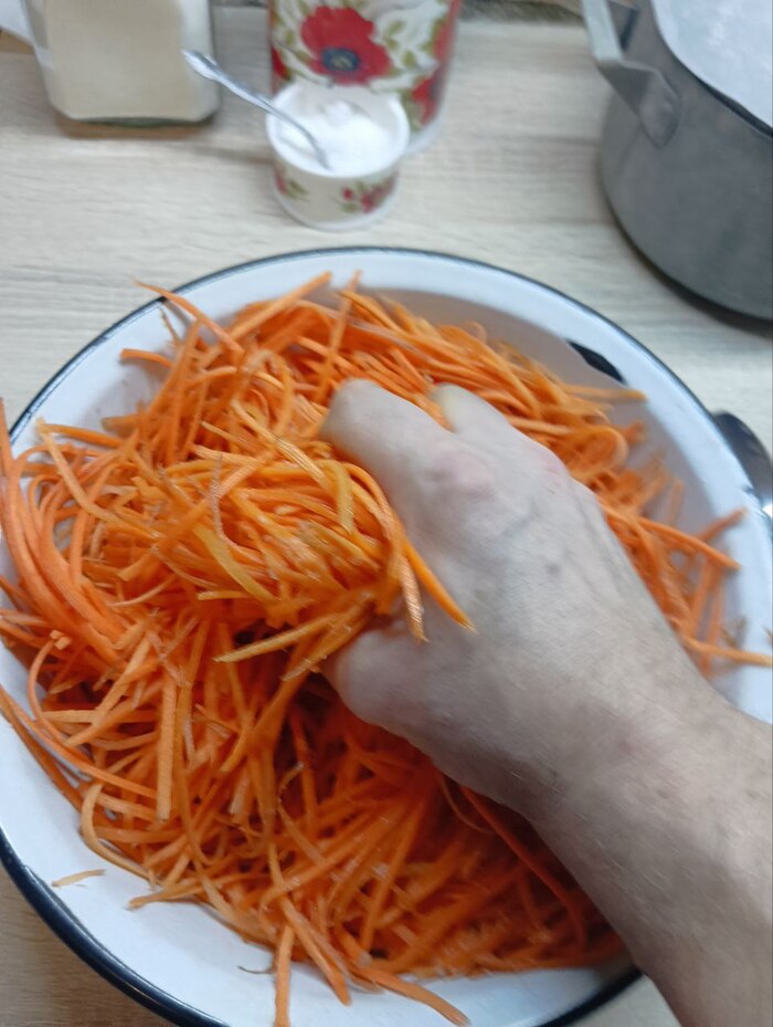 ������ ������ � �������� �� ���.