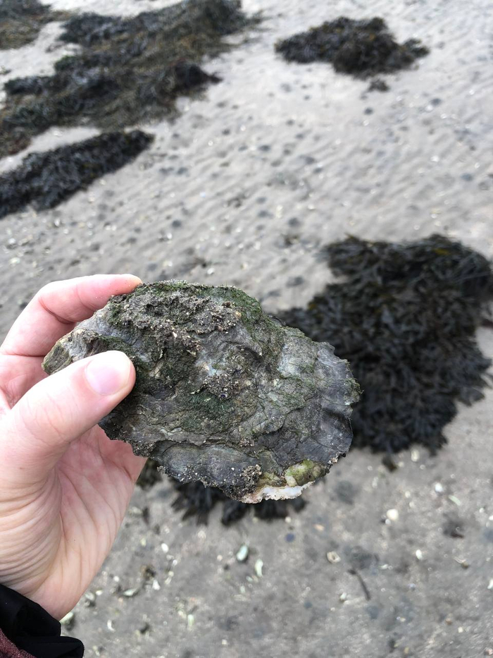 ������� ��� �� ���� ��� ������. �������� �����, ���������.