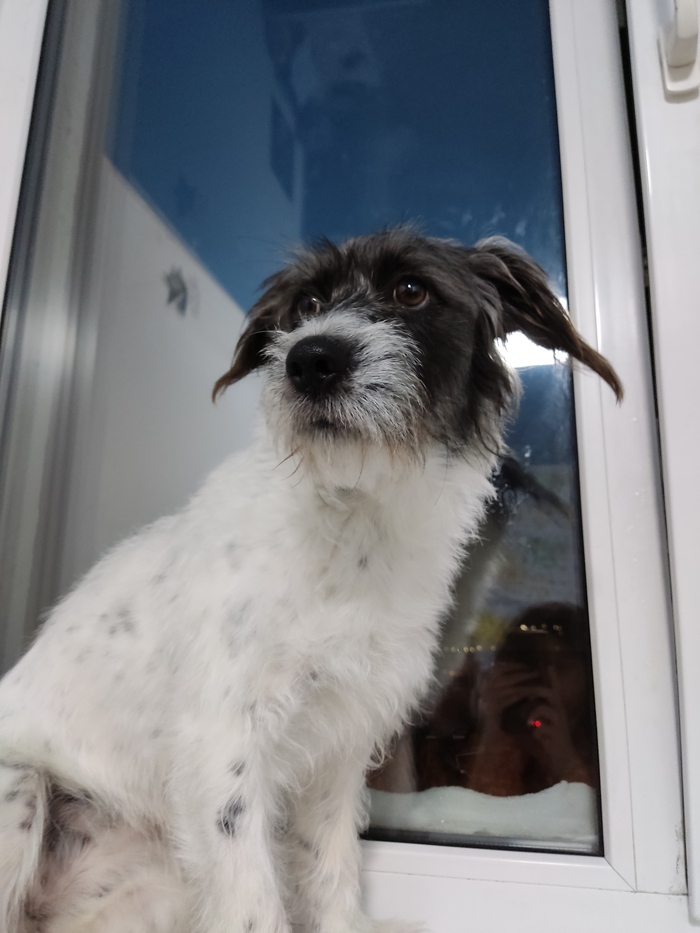 ��������� ������