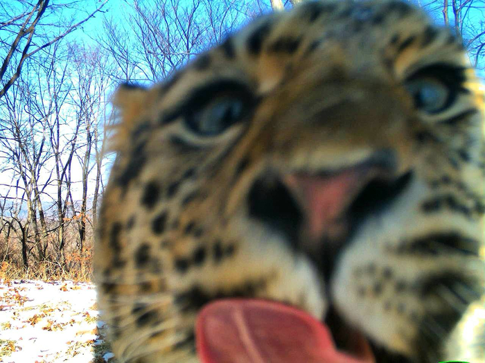 ���� �� ������