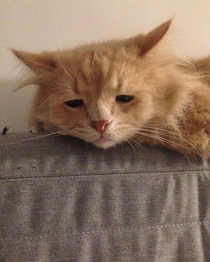 ��� ����� ������, ����� ���� �������� �������� �� ��������, � ���� �� � ��� ������ ����