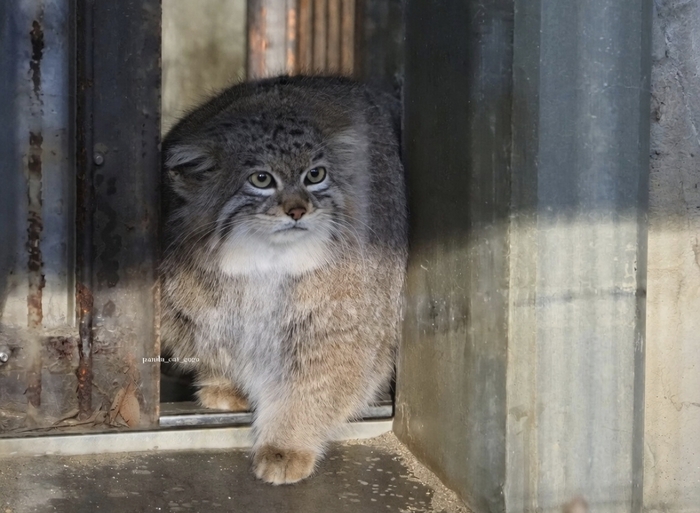 ����� ����������, ��� �� ���