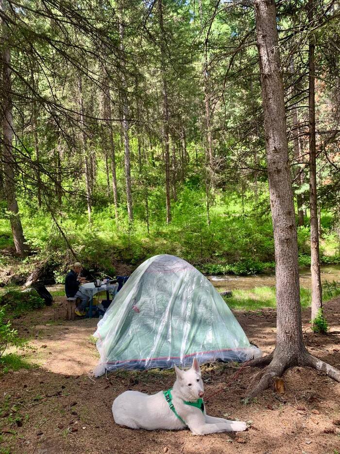 ���� ����� ������ � ����