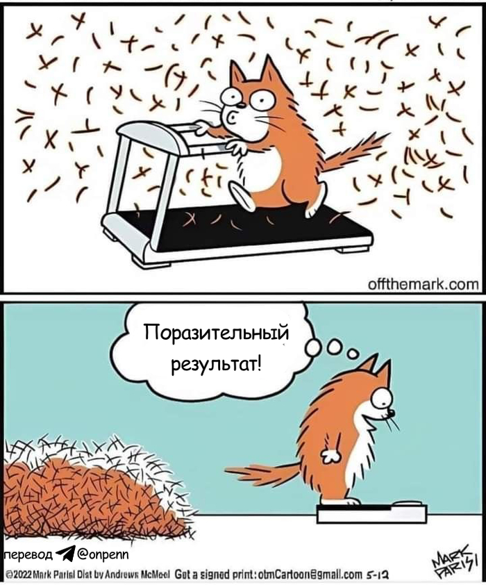 ��� �������� � ����