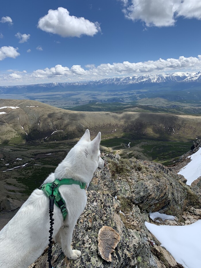 ��� �� ���� ������-�������� ������ � ���� �� ����� ��������, ��� � ������!