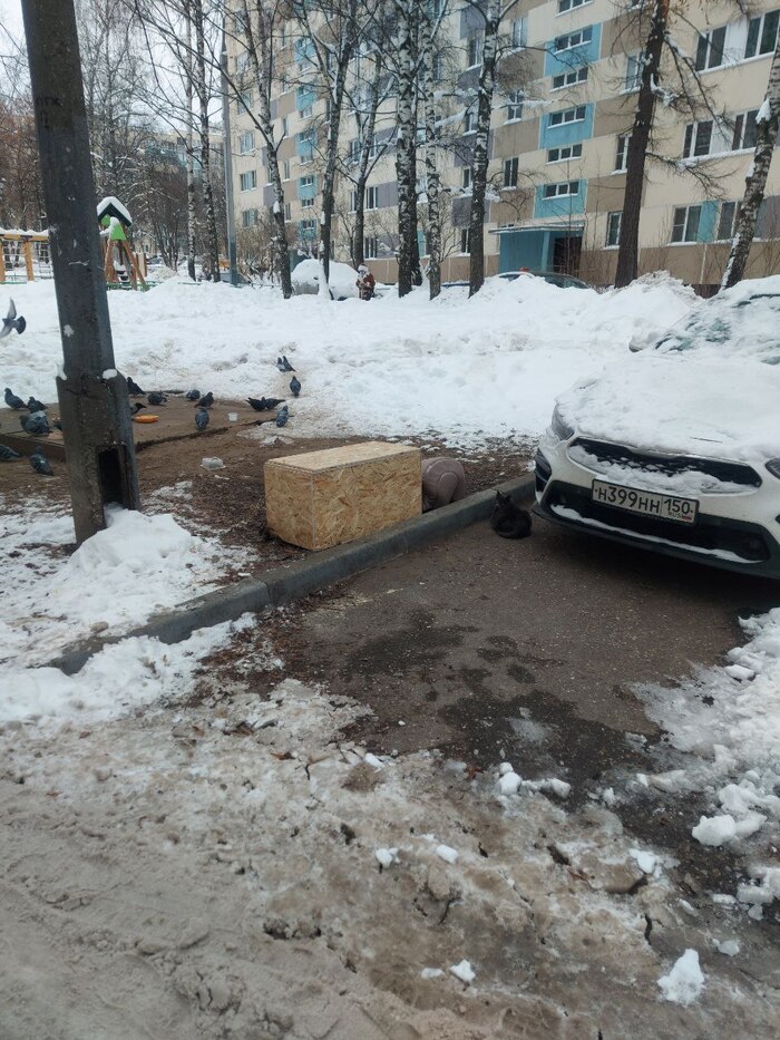 ��� ���� ��������� ���� ��������� �� �����