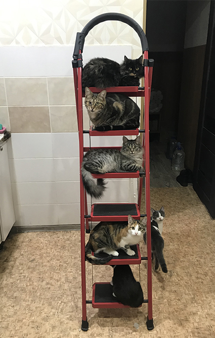 ������ �������������� ������