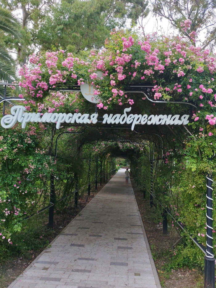 Приморская набережная Сочи