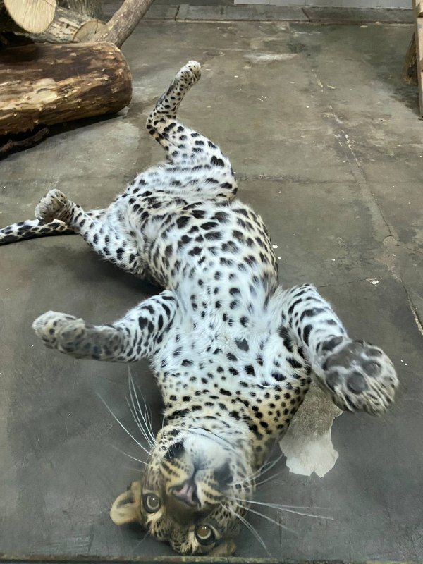 ������� ������� ����� � ������ ���� ������ �� ���������� ����������