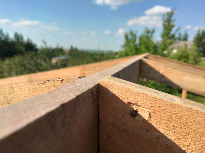 ��� ������� ��� ��������: "�� �������, � ��� ������"