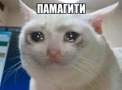 � ���� ����� �� ������