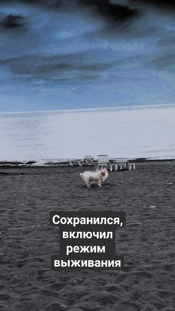 2022�� ��� �����, � �� ���������