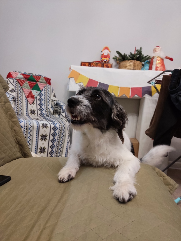 �������