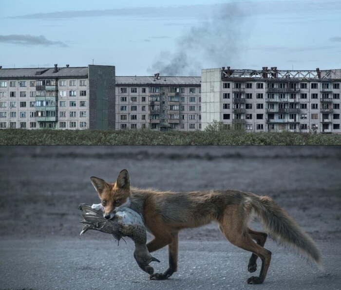 ����� ����� ��