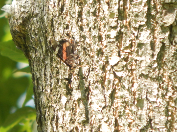 ������� �� ���������� �������� �� ���� ���� - ��� �� ��� �������, �� ��� ��?