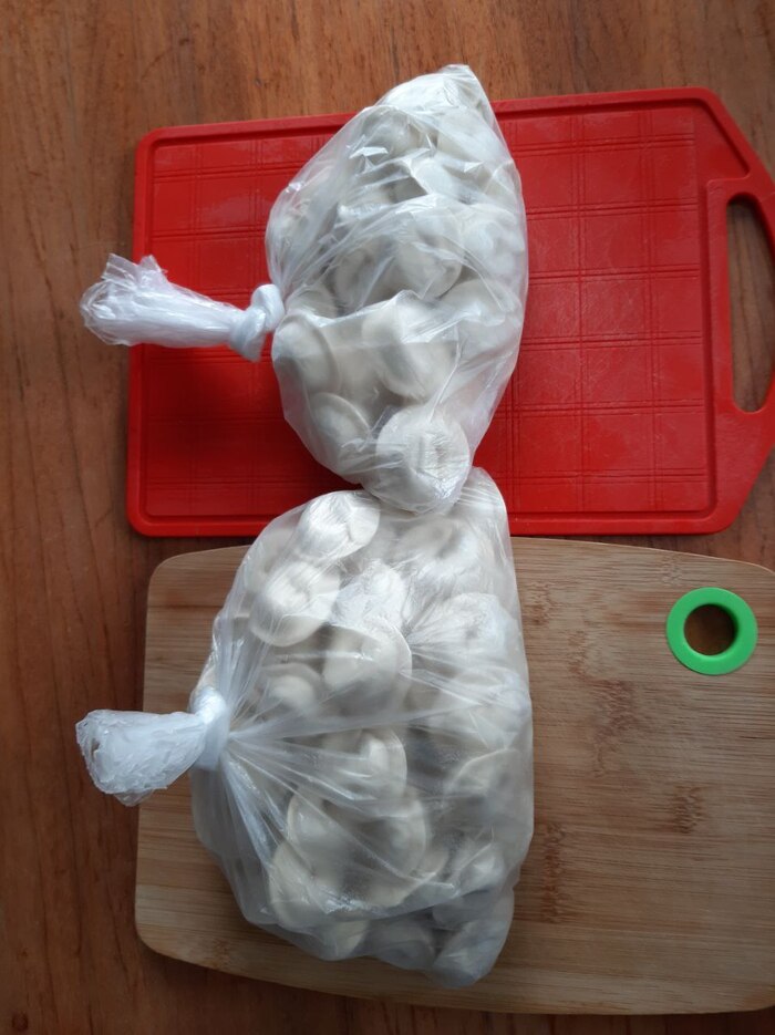 ���� ��� ������� ������ �� ����� ��.