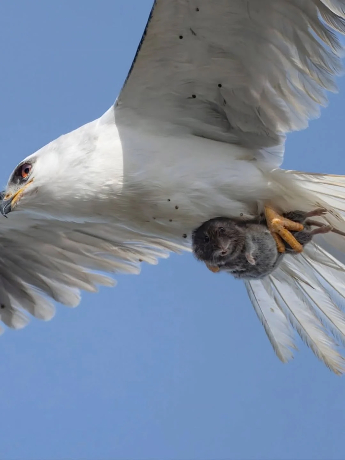 ����� ���� ������ ��� � �����!