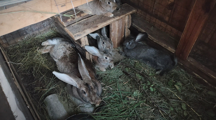 ��� �������� ������-������� ��� ��������, ������ � ������� ��������� � ������: